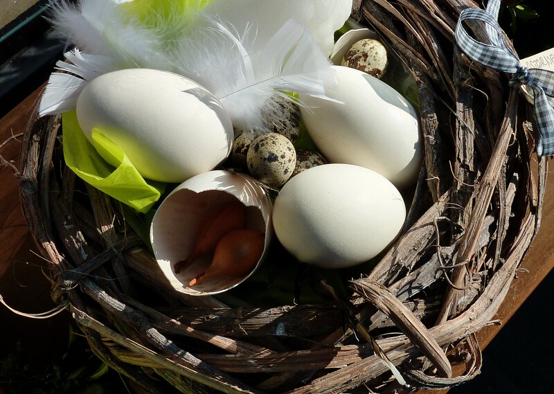 Easter nest with eggs and feathers