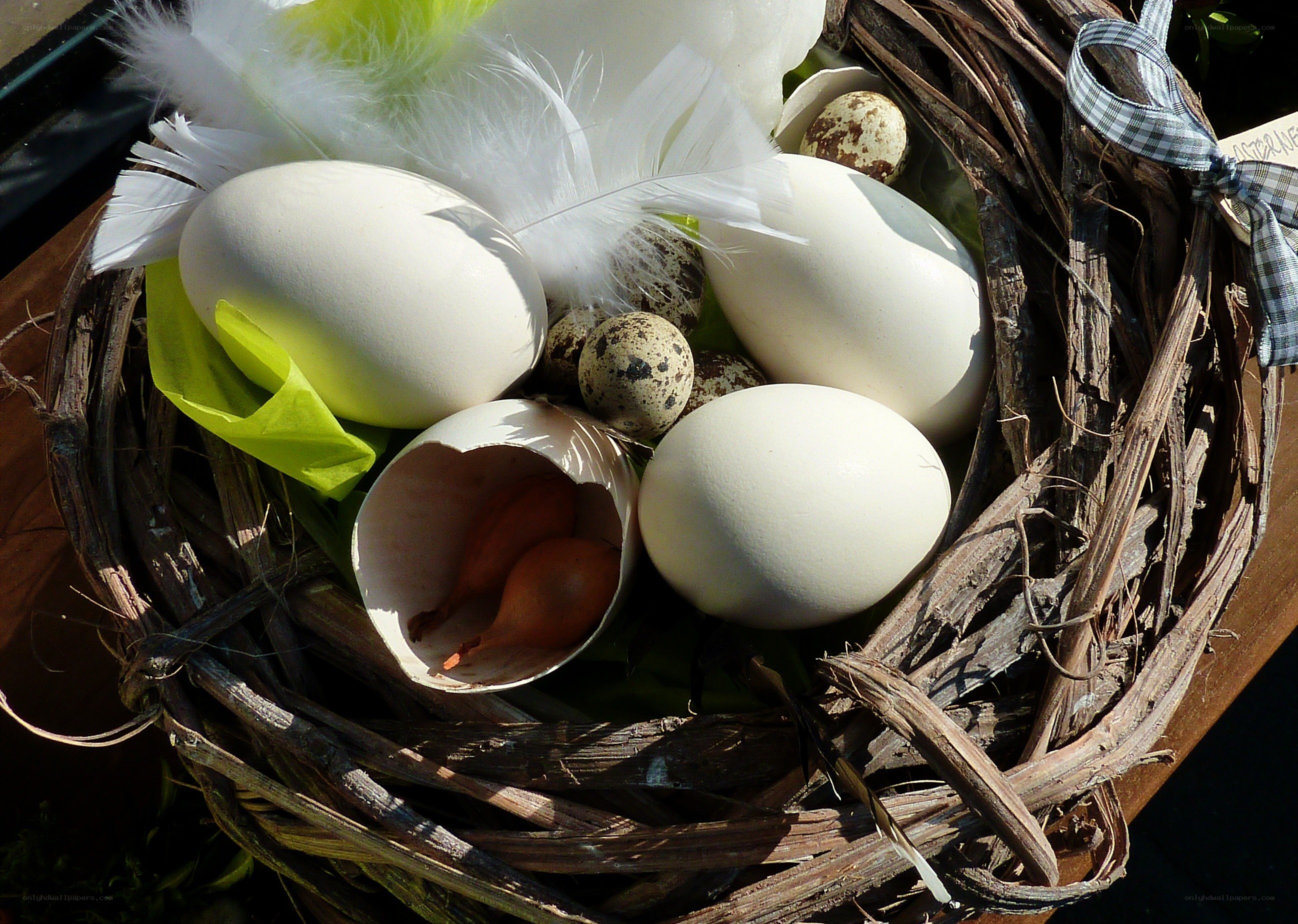 Easter nest with eggs and feathers