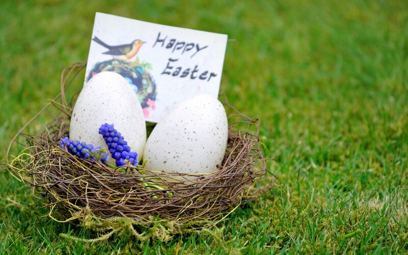Easter Nest with Eggs — Green