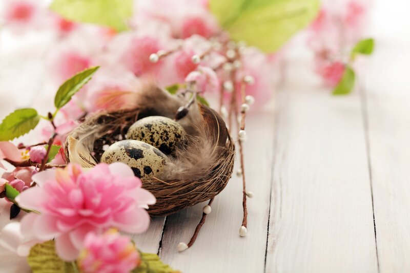 Easter nest with quail eggs