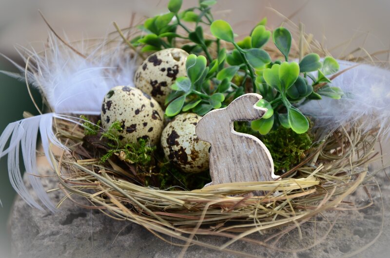Easter nest with quail eggs