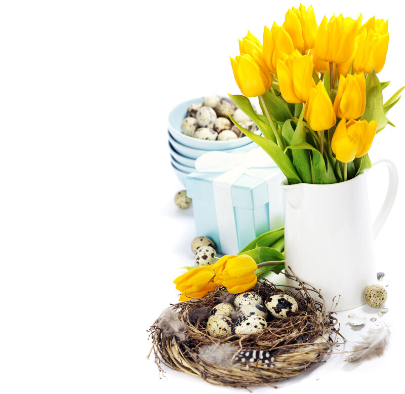 Easter Nest with Tulips