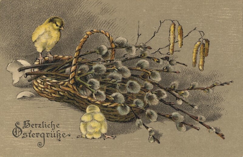 Easter postcard with chicks