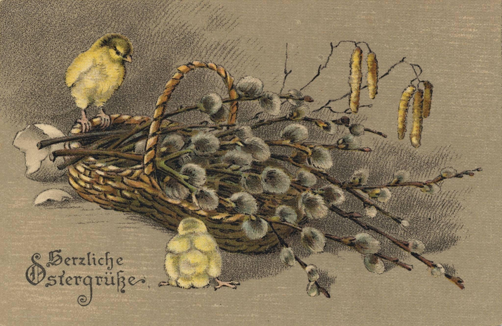 Easter postcard with chicks