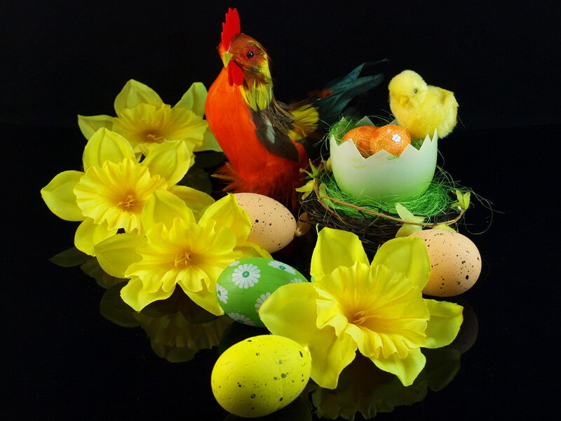 Easter Rooster and Chicks