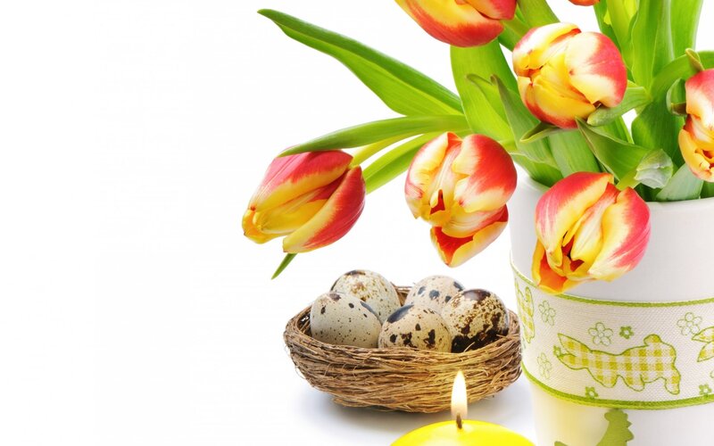 Easter tulips and eggs