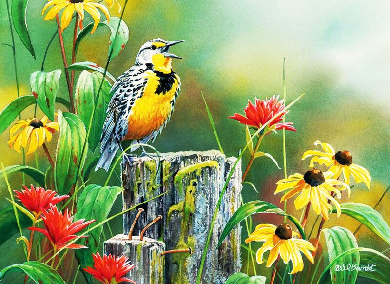 Eastern Meadowlark — Yellow, Serene