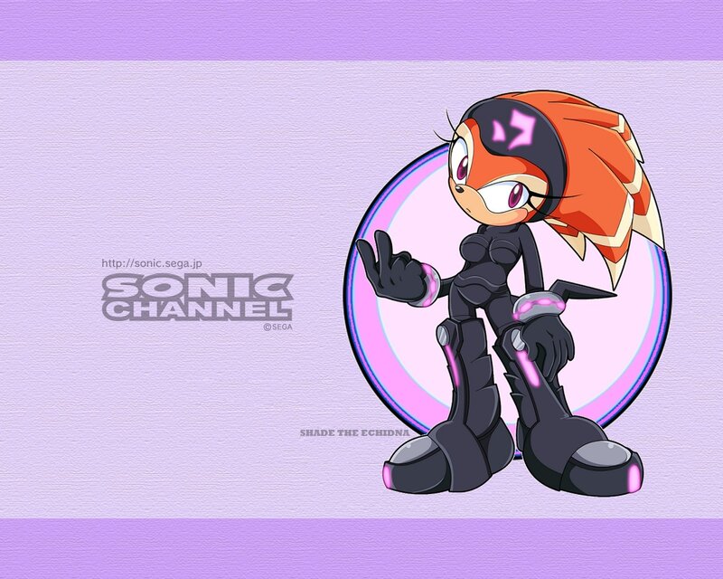 Echidna Character in Black Suit