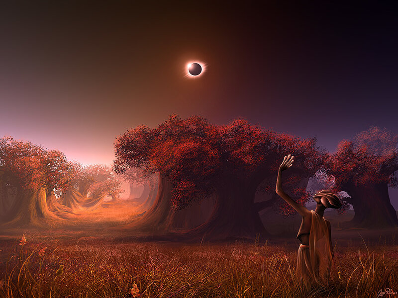 Eclipse in a red forest