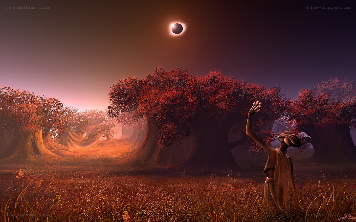 Eclipse over a red forest
