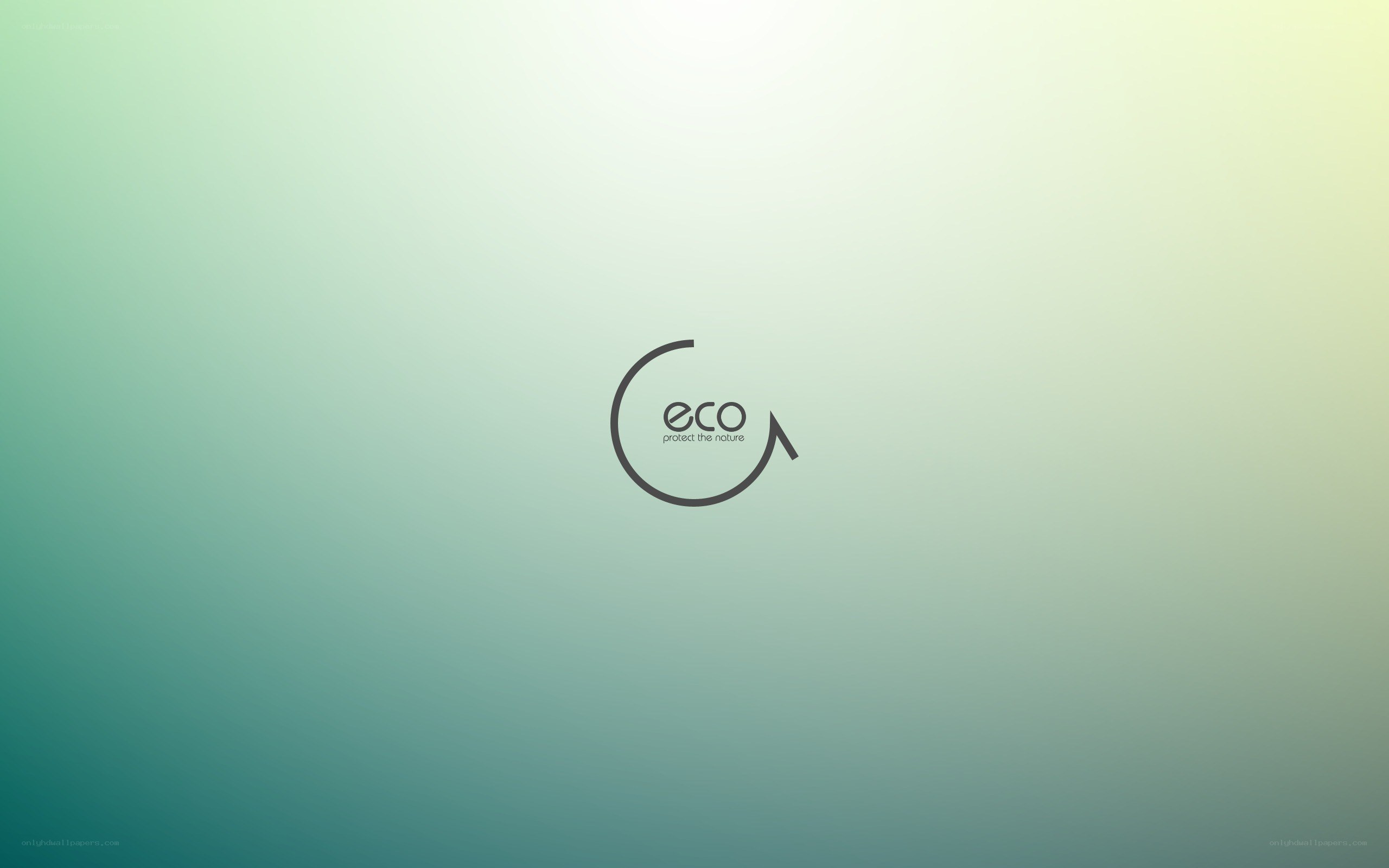 eco logo on gradient background