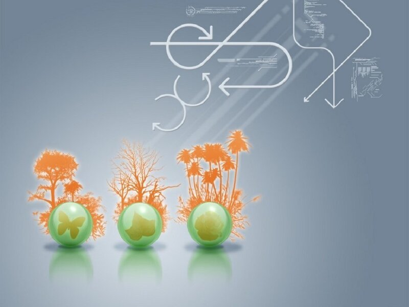 ecological cycle visualization