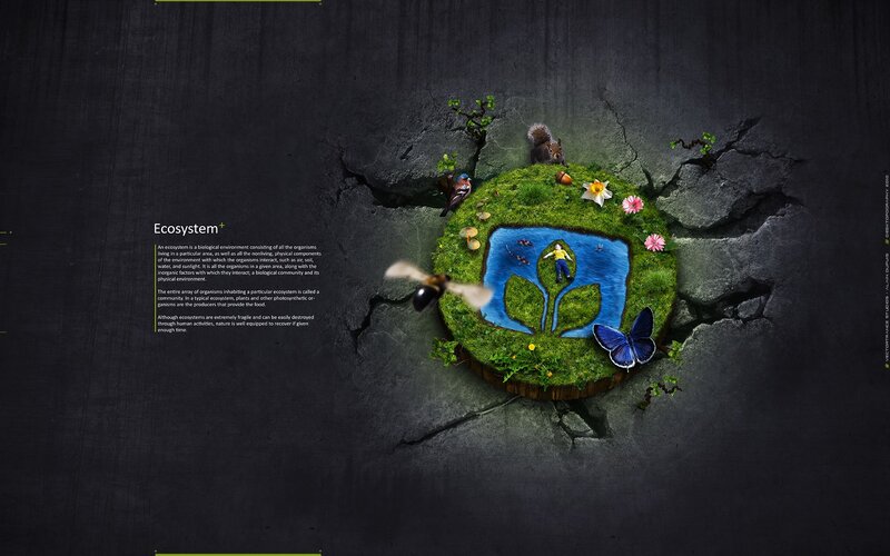 Ecosystem illustration