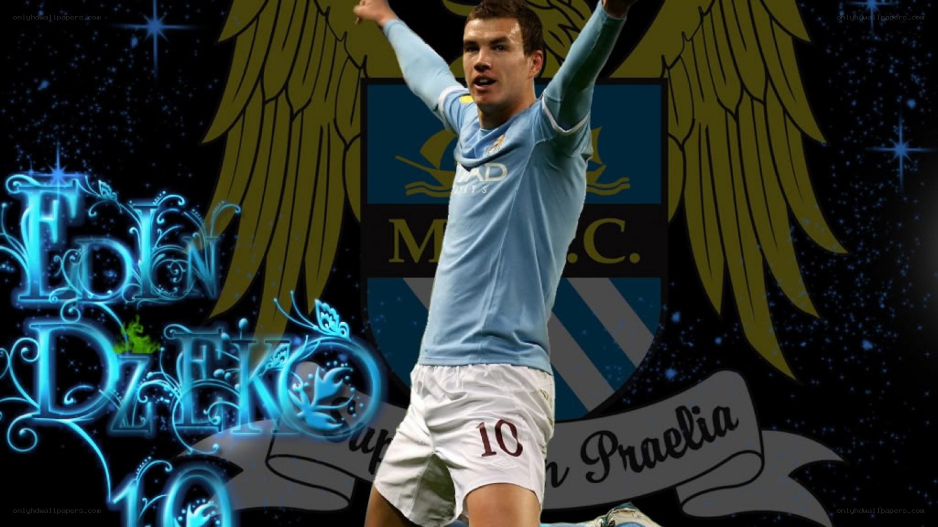 Edin Džeko celebrates