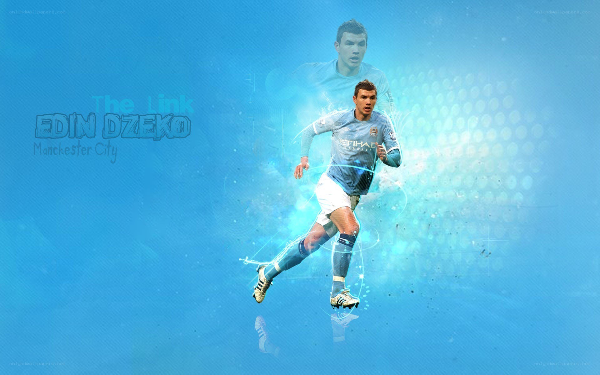 Edin Dzeko Manchester City