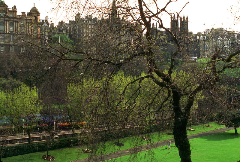 Edinburgh park view with city skyline