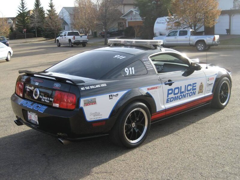Edmonton police Mustang