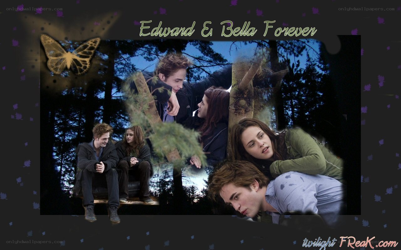 Edward and Bella collage