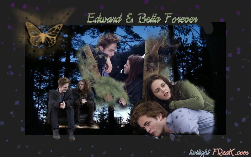Edward and Bella in Forest