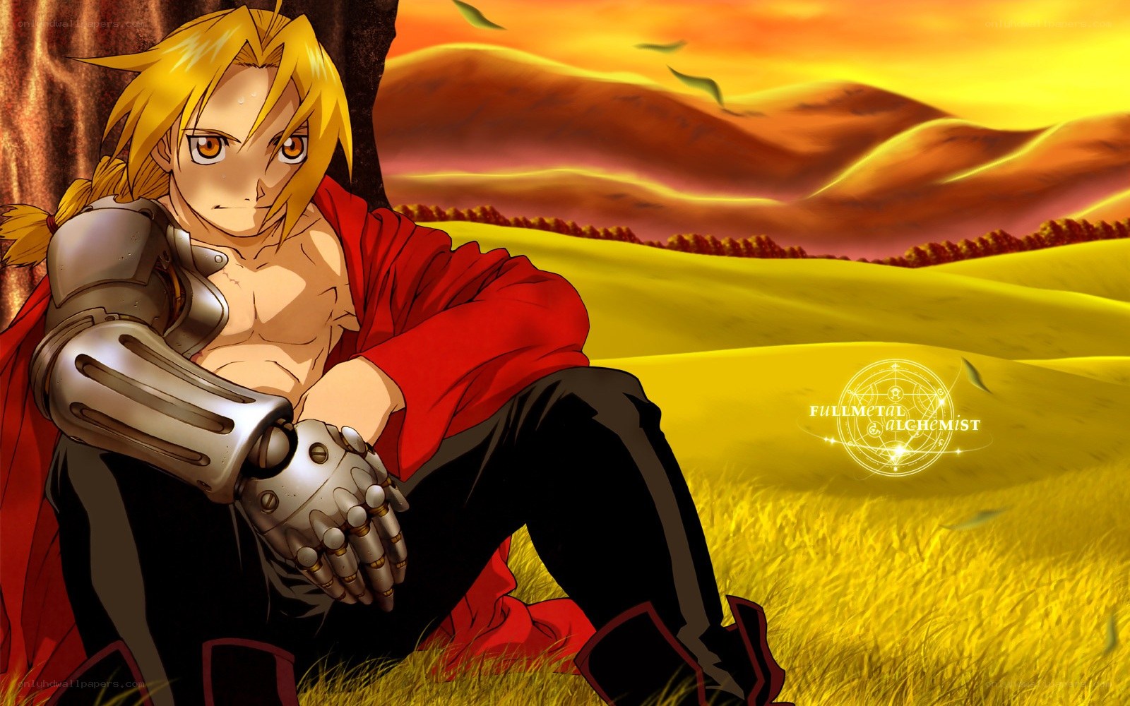 Edward Elric in a field
