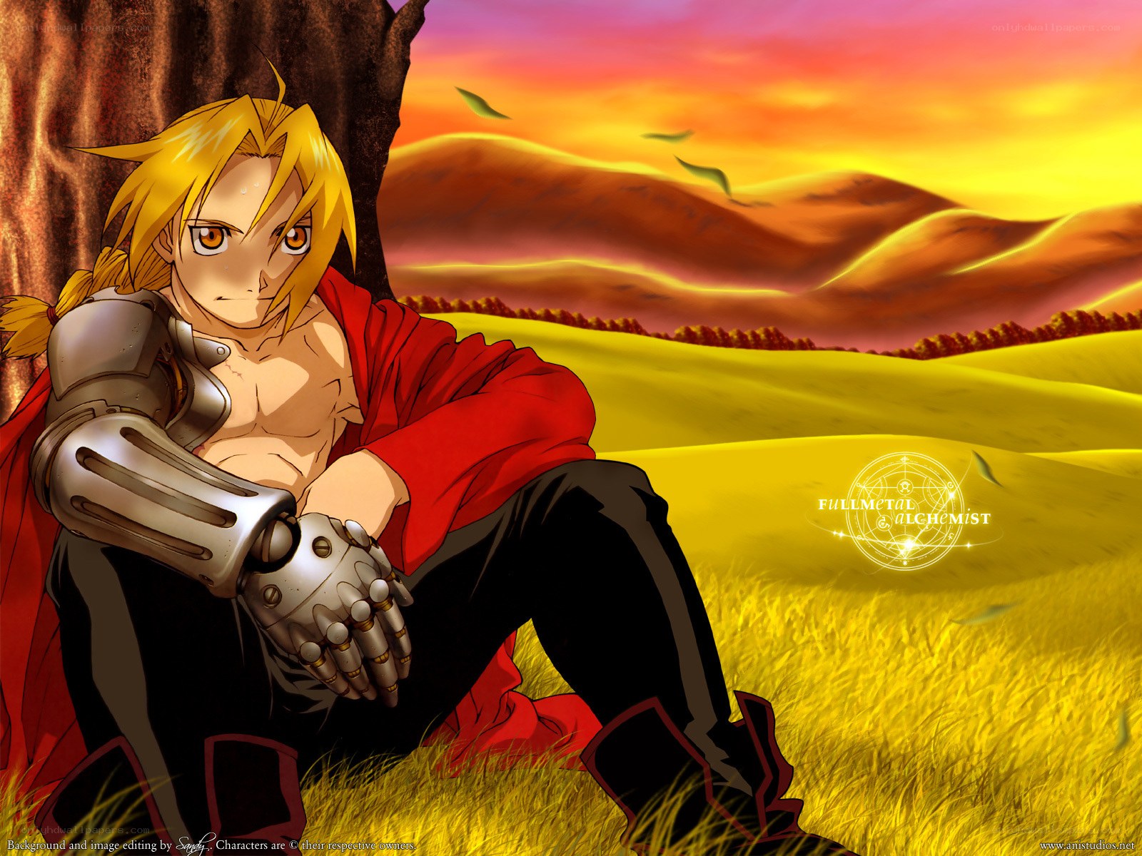 Edward Elric in a field
