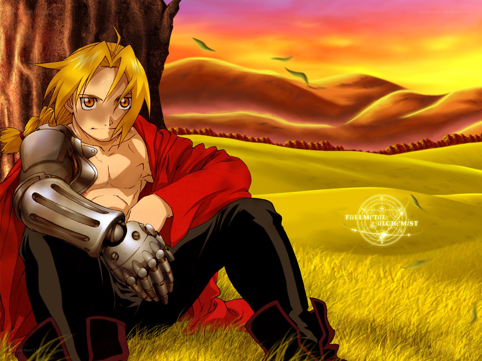 Edward Elric in a field