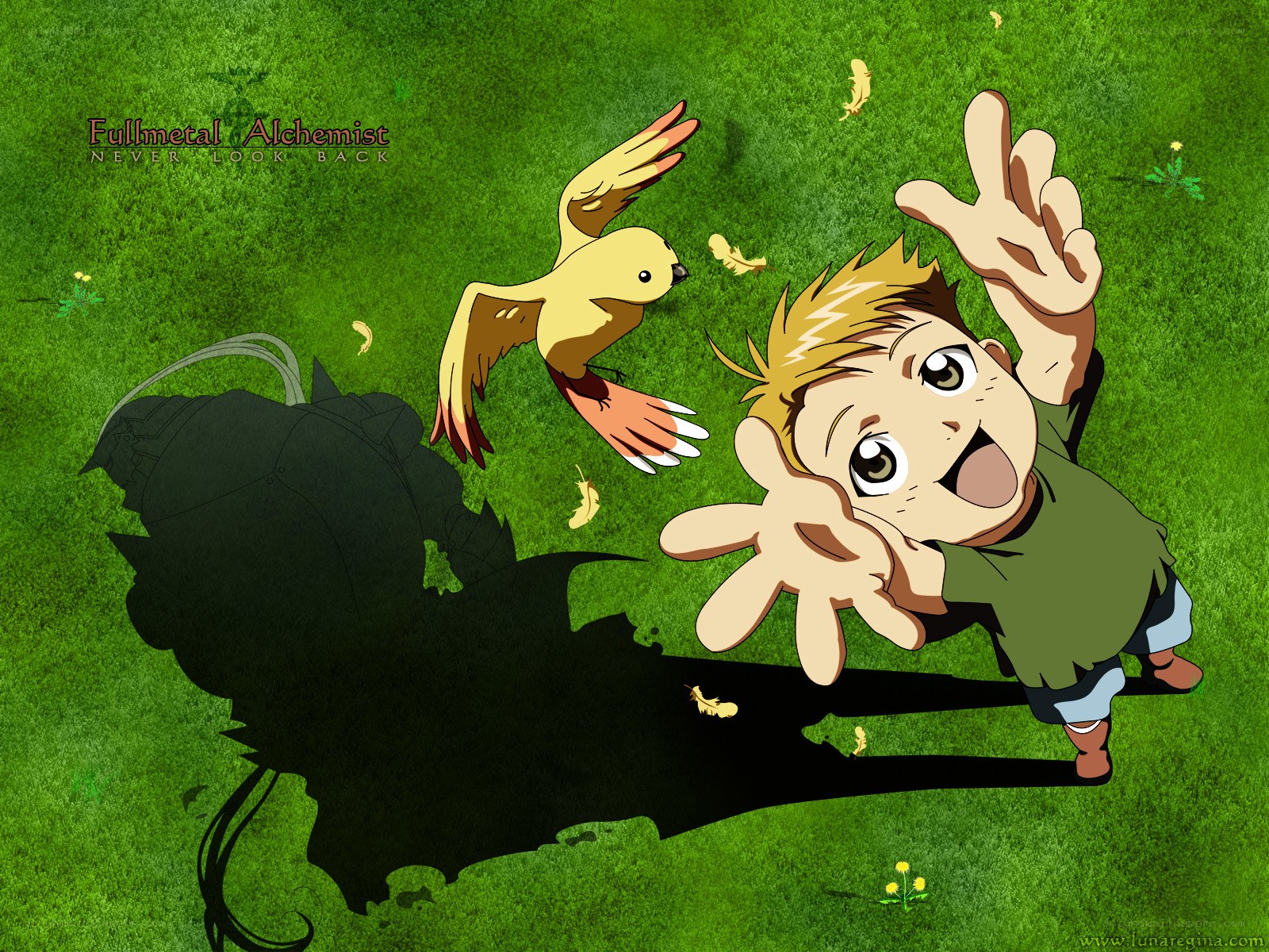 Edward Elric with bird