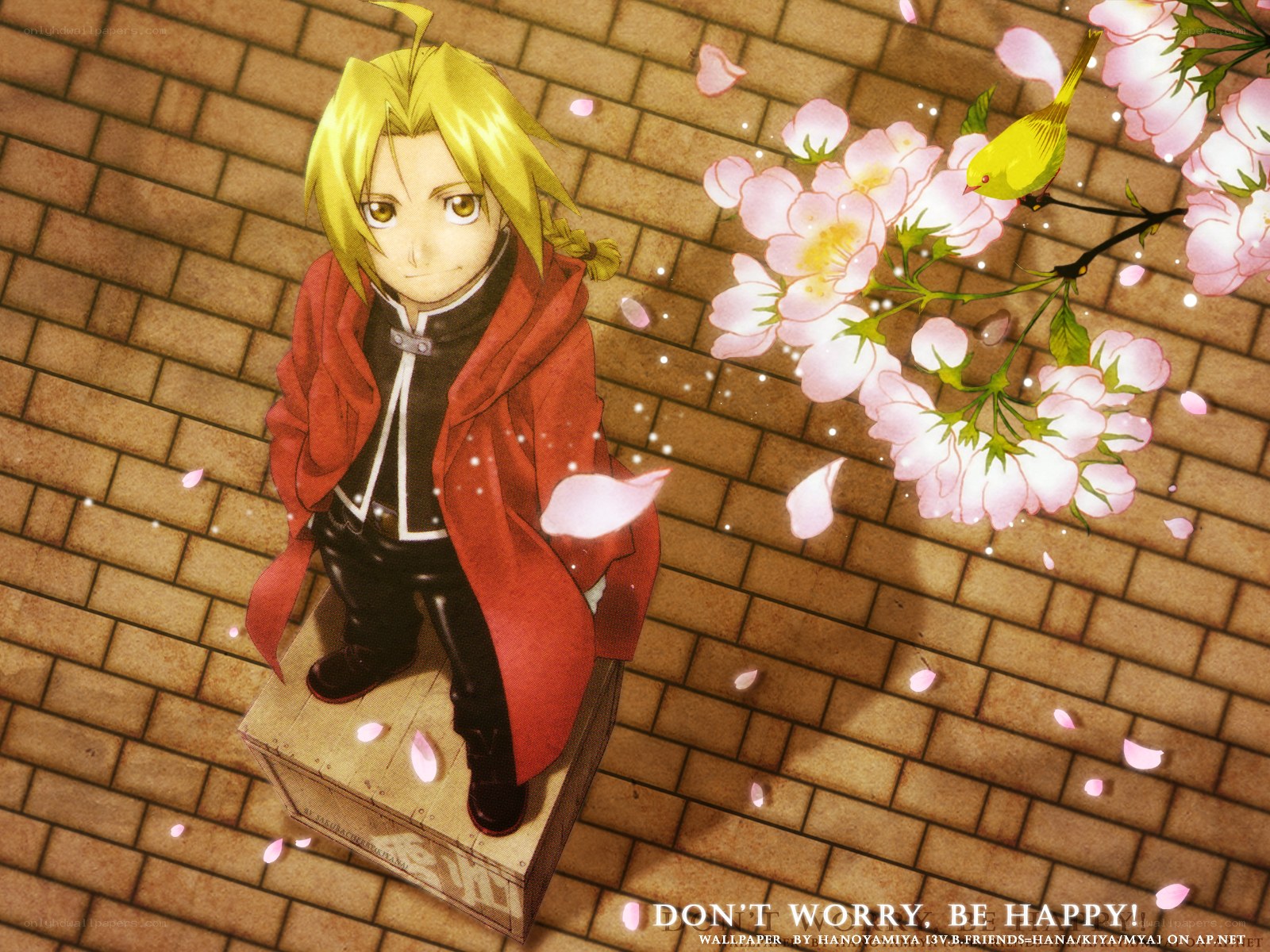 Edward Elric with cherry blossoms