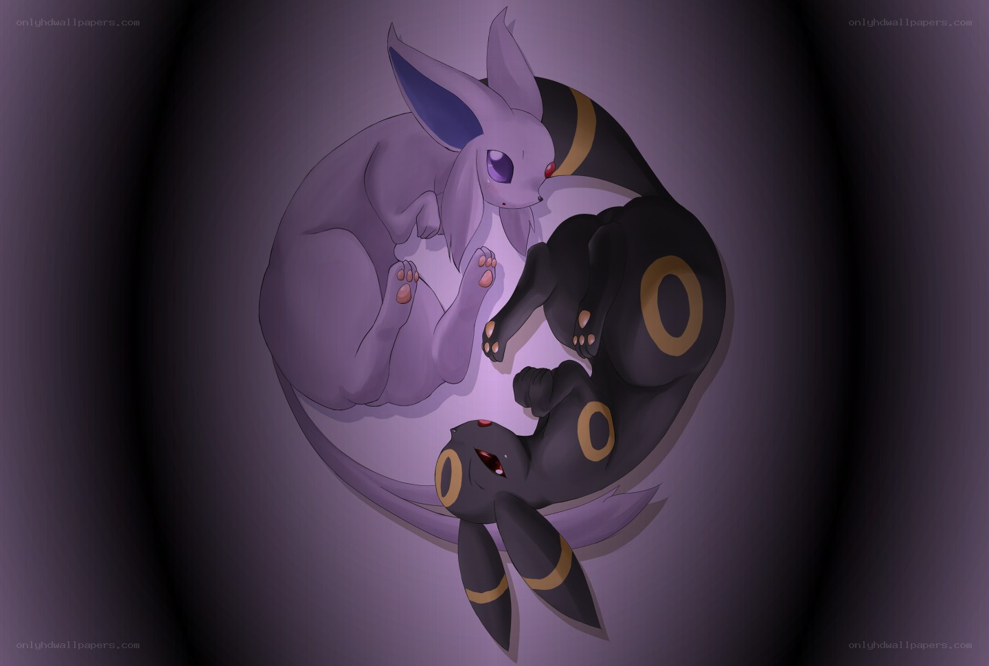 Eevee and Umbreon yin-yang