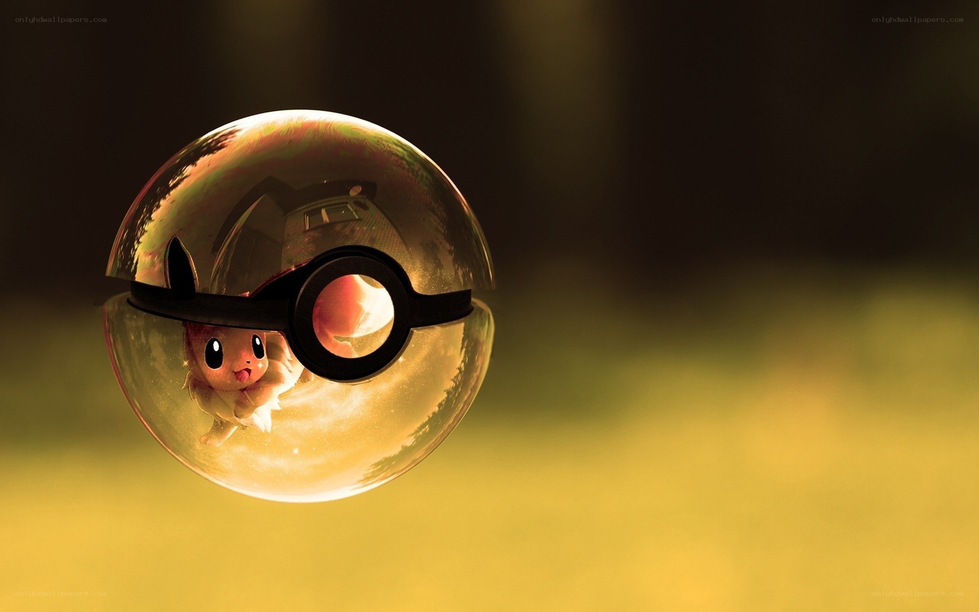 Eevee in a Poké Ball