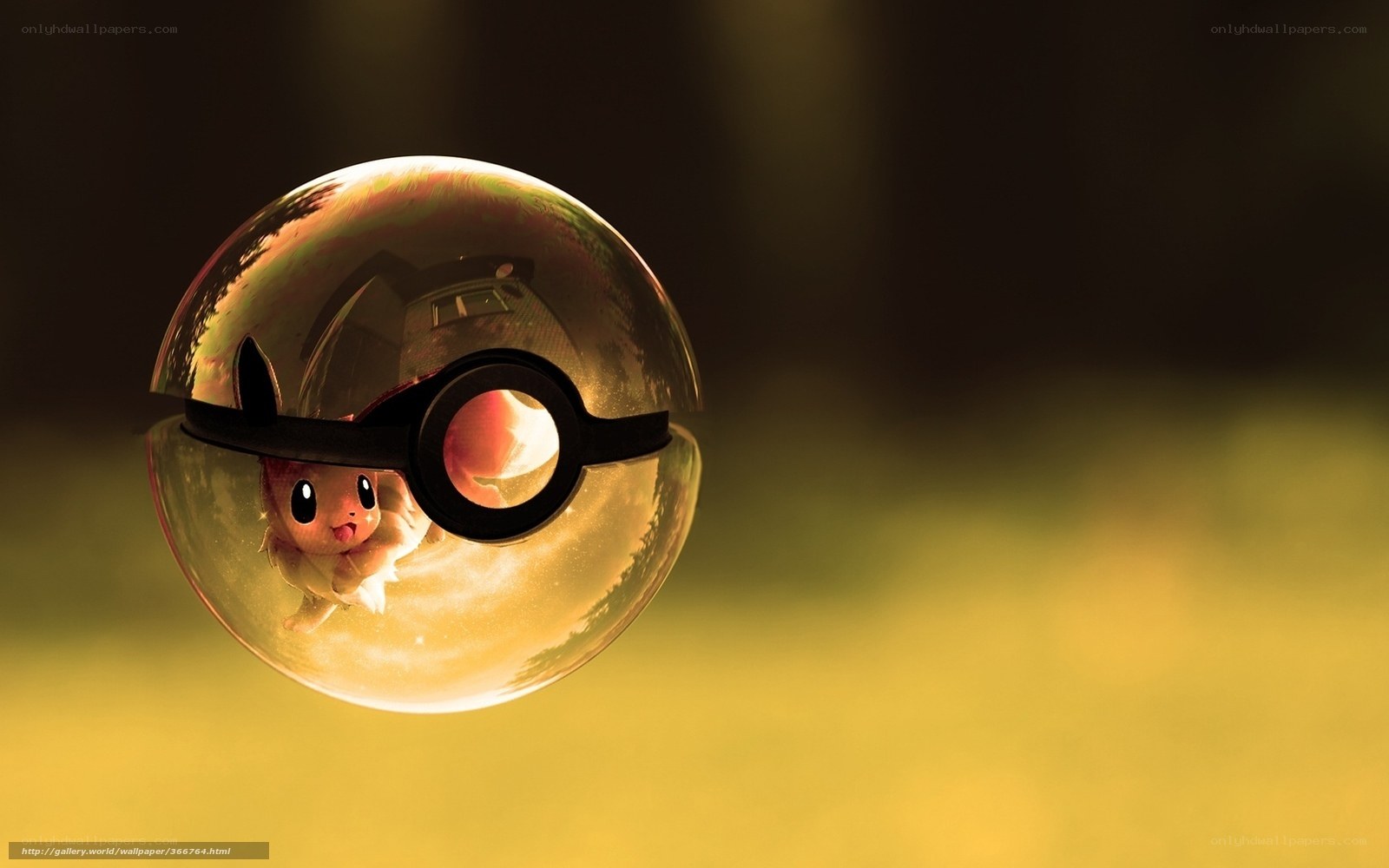 Eevee in a Poké Ball