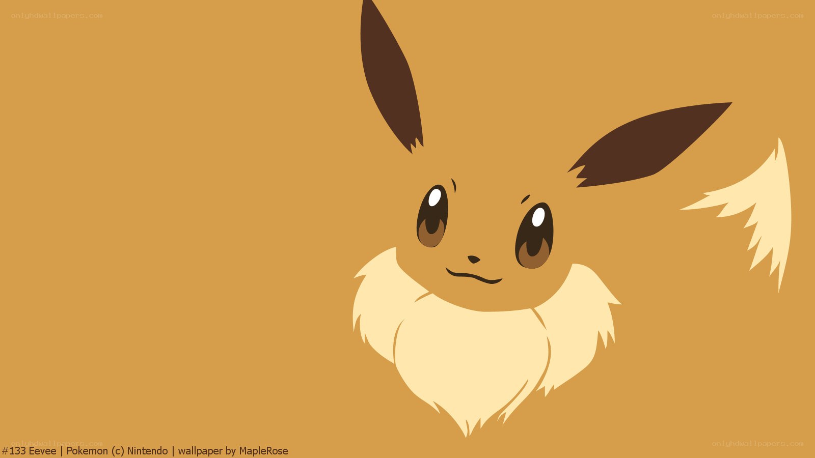 Eevee Pokemon wallpaper