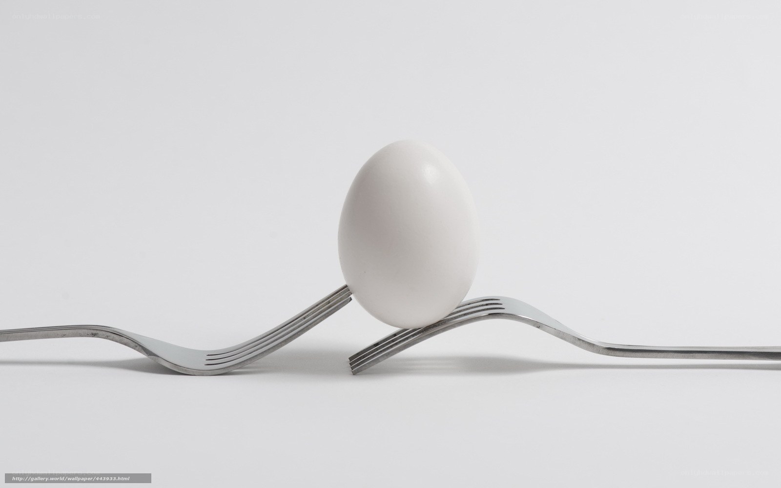 Egg balanced on two forks