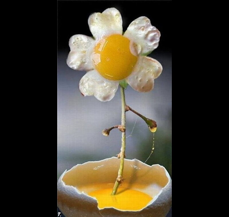egg flower art