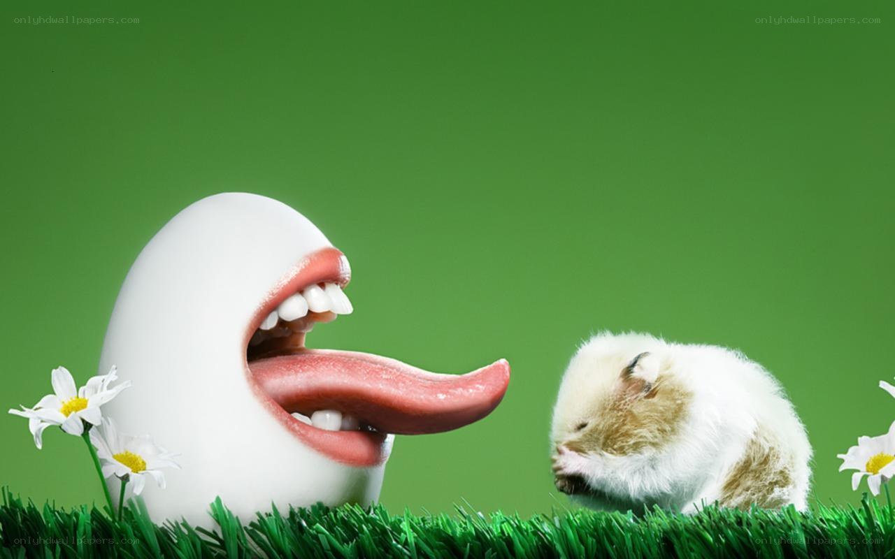 Egg with tongue and hamster