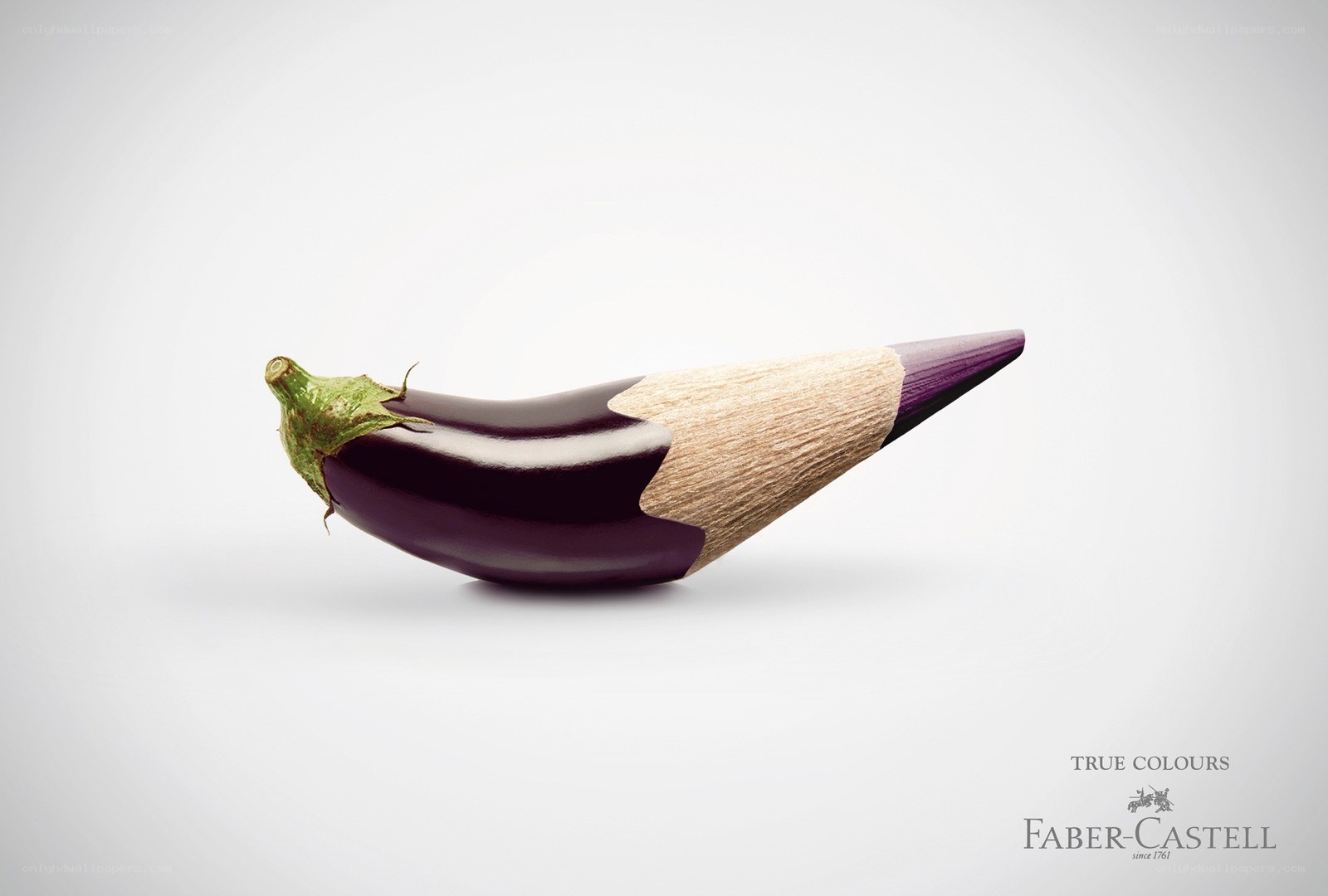 eggplant pencil hybrid