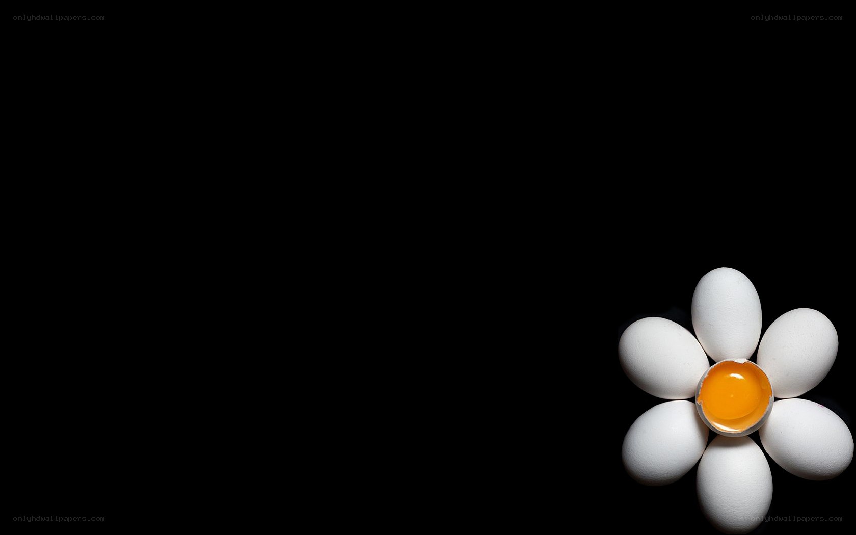 Eggs arranged as a flower