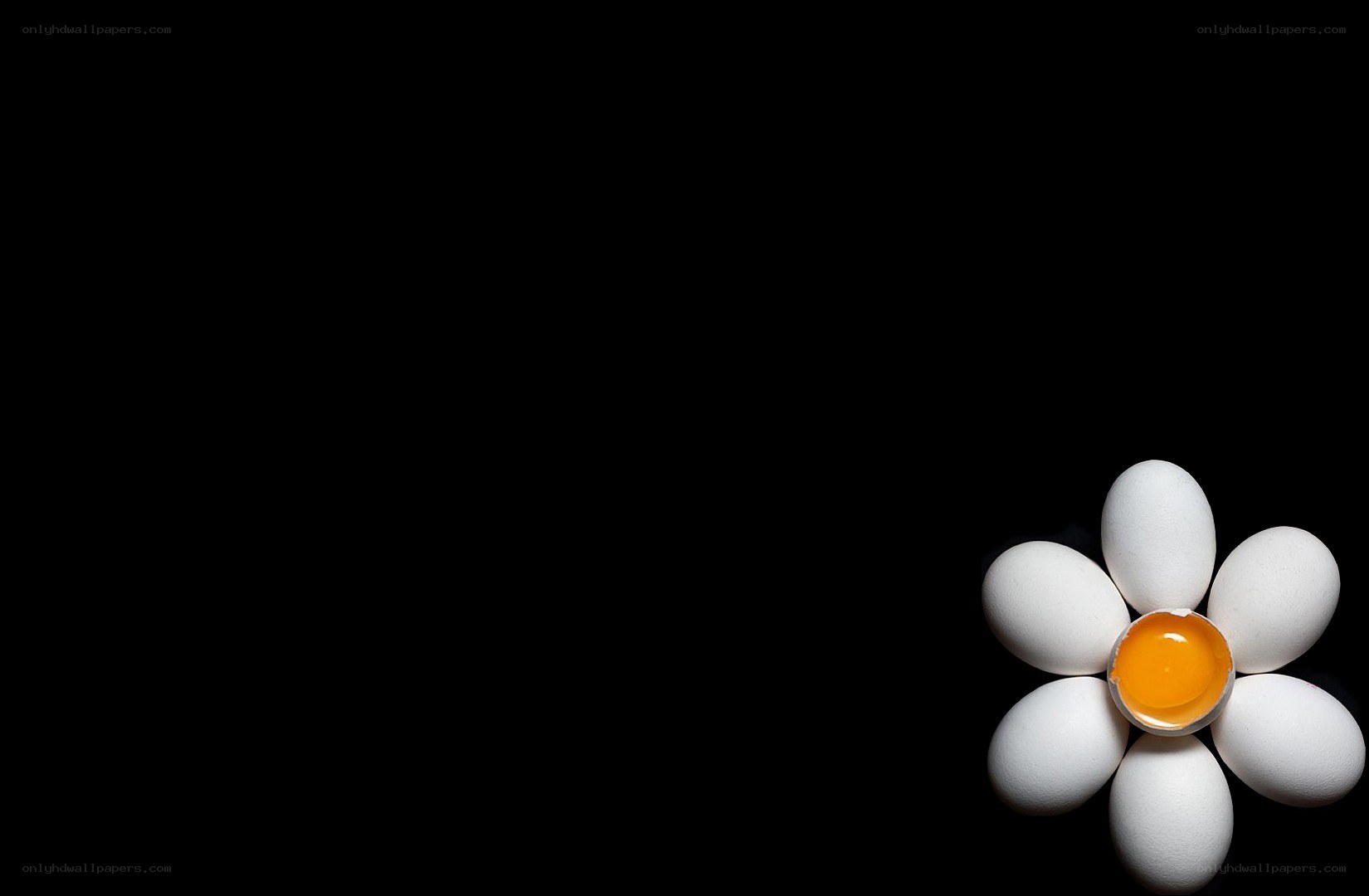 Eggs arranged as a flower