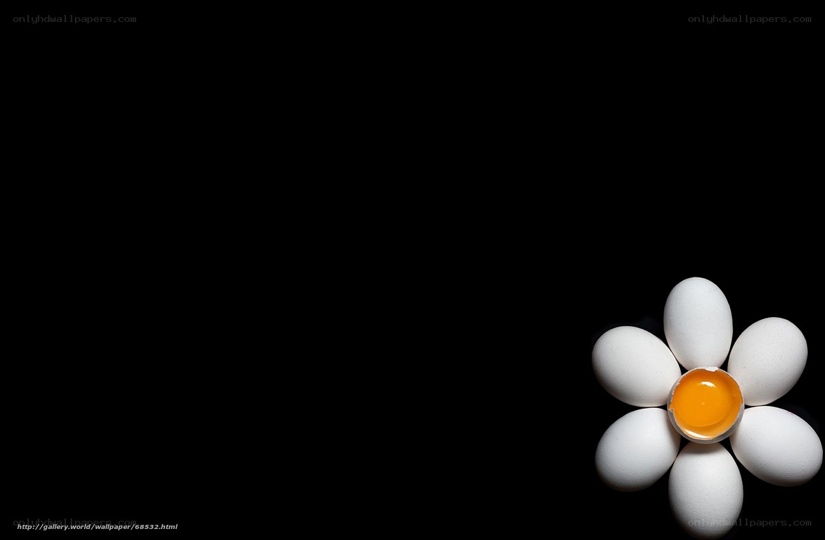 Eggs arranged as a flower