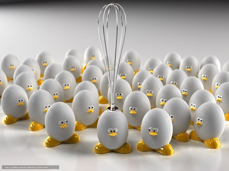 Eggs with a whisk