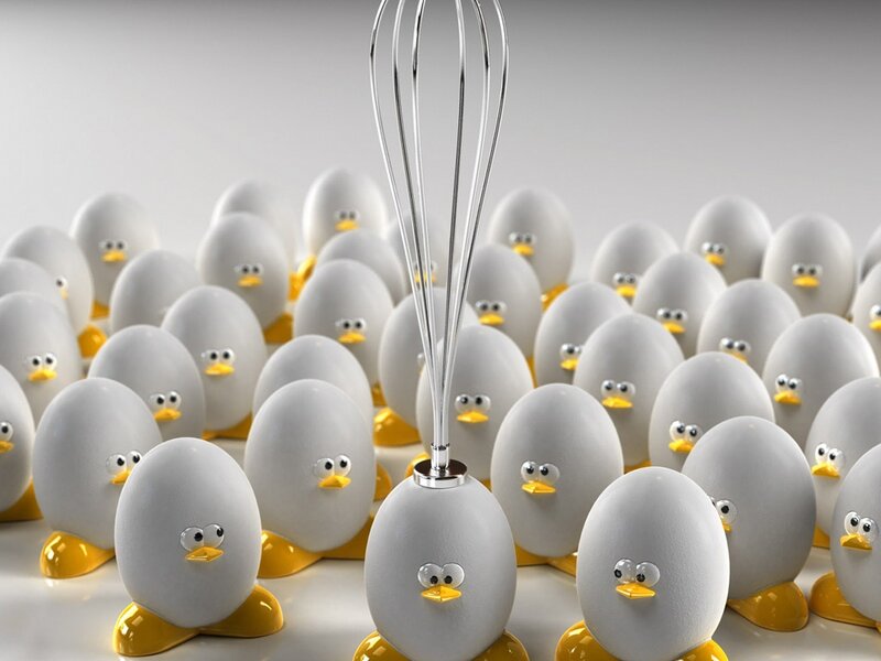 Eggs with Duck Faces — Gray