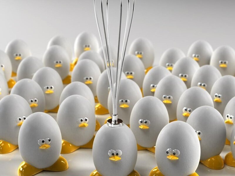 eggs with duck faces