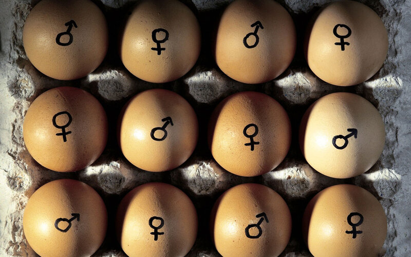 Eggs with Gender Symbols — Brown
