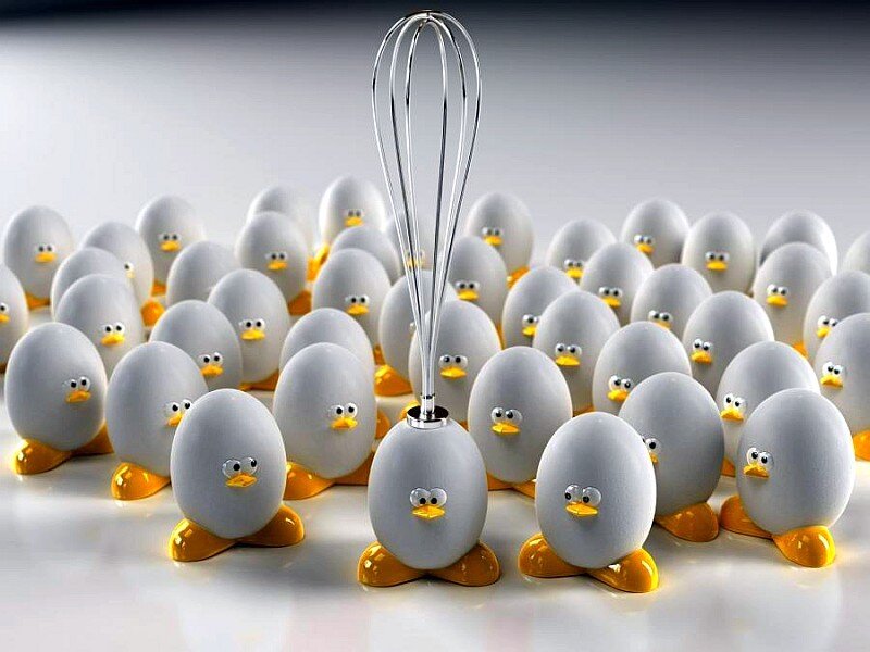 Eggs with whisk