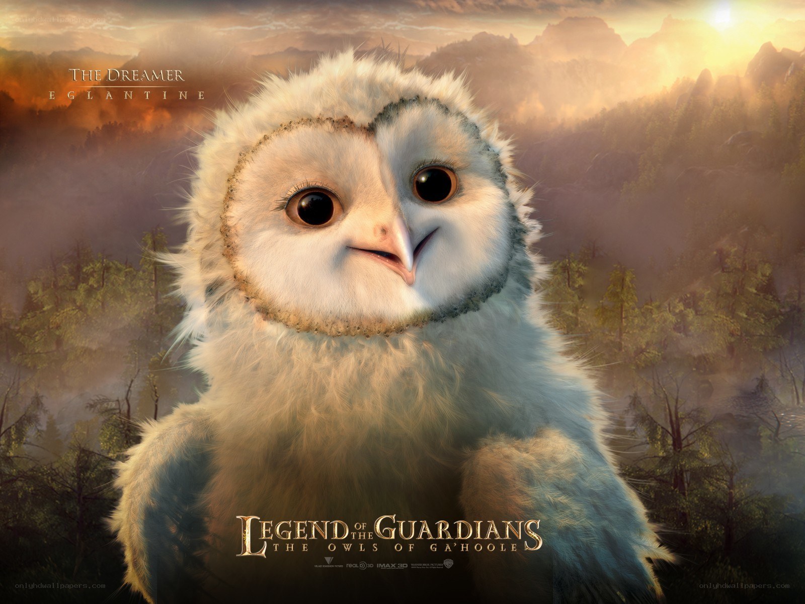 Eglantine the Dreamer Owl