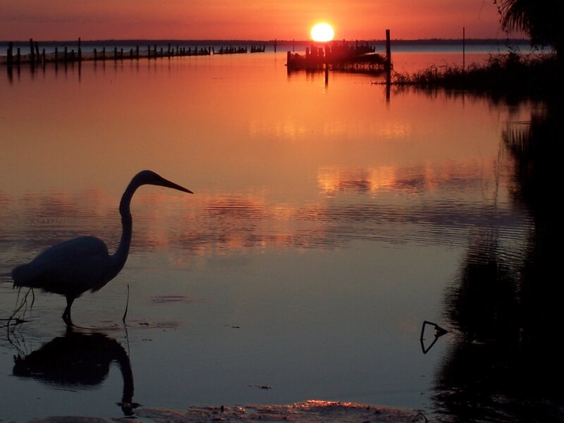 Egret at sunset on calm water