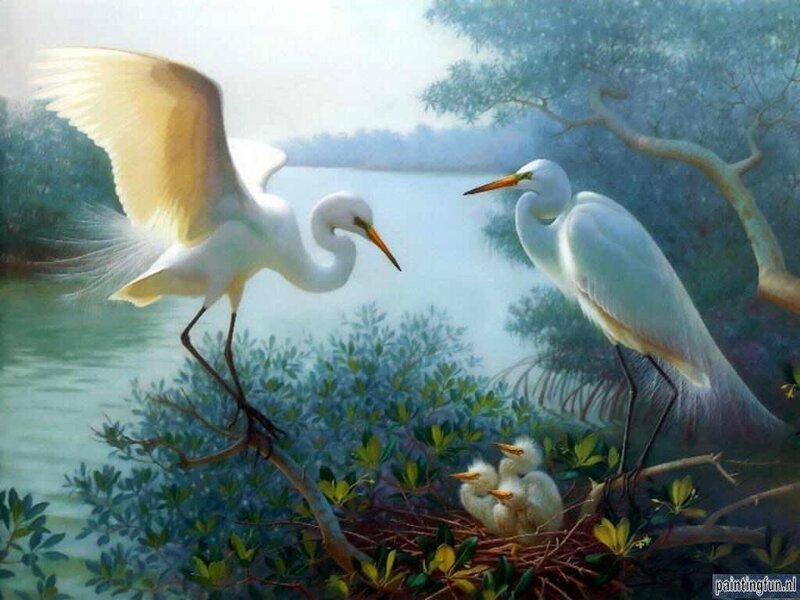 Egret Family in Nest — White