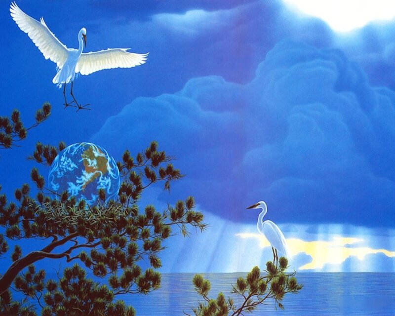 Egrets and the Earth