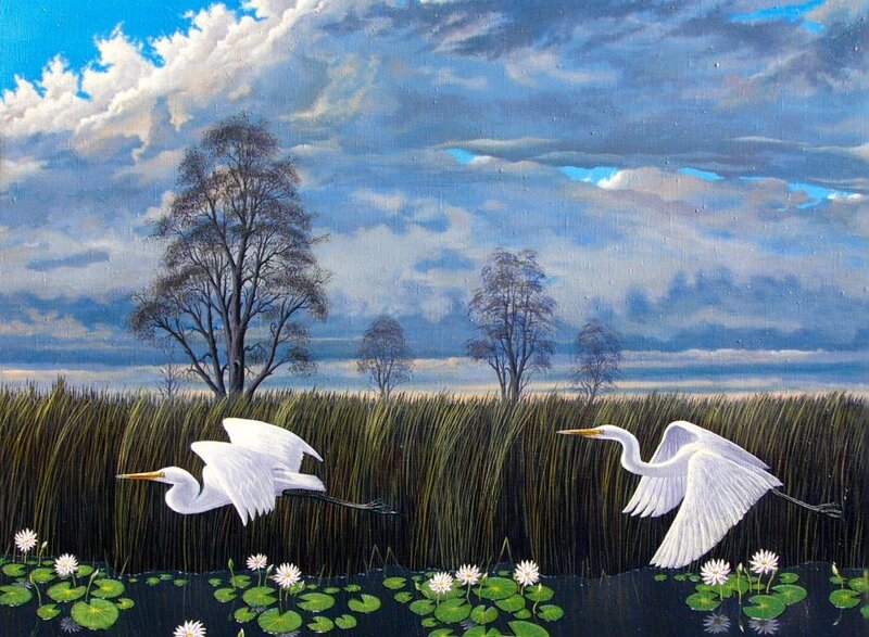 Egrets flying over a marsh