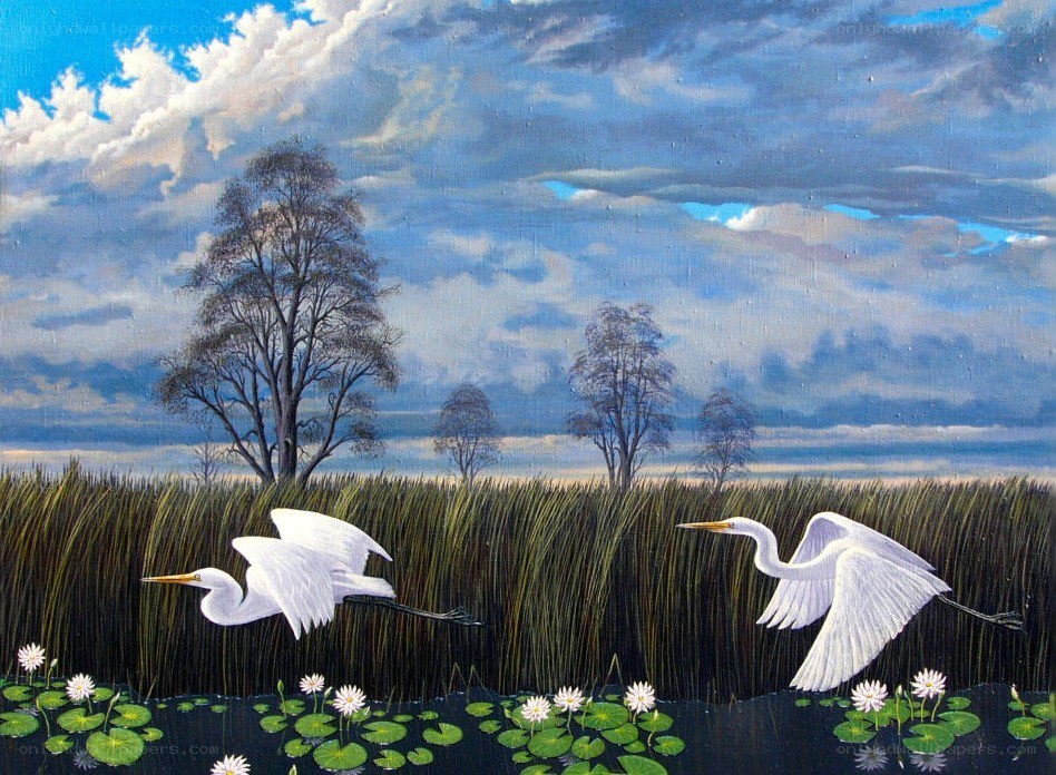 Egrets flying over a marsh